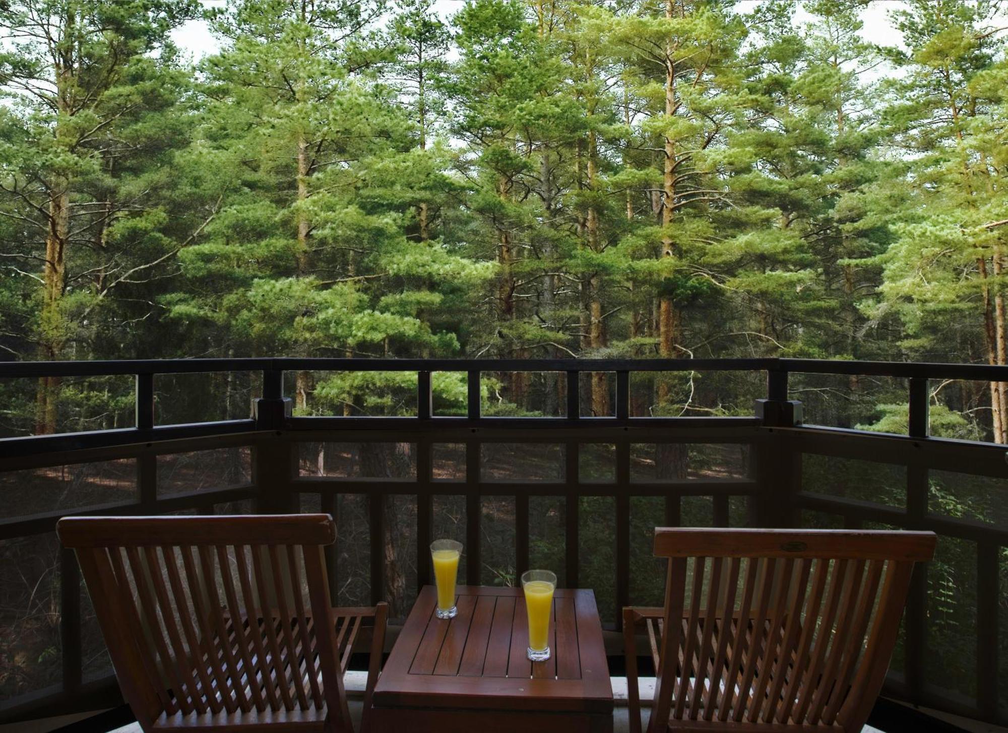 Asteria Family Resort Belek Antalya Ngoại thất bức ảnh A view of the forest from the balcony of a guest room